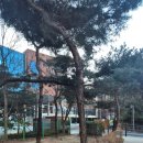 신도세탁소 | 2월1일 토익 후기 (결과발표일, 토익팁, 준비물, 고사장 후기)