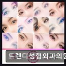트렌디성형외과의원 네이버블로그
