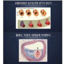 4/20일 김영란체온관리이사 편지입니다. 이미지