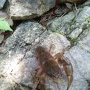 고향농장 이미지