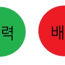 미스터버튼