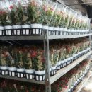 에벤에셀농장 이미지