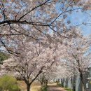 노작공원(오산천변) 네이버블로그
