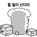 이르마민들레