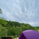 0607_중미산 자연휴양림 211