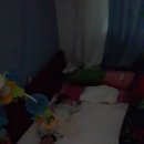 상남동184 이미지