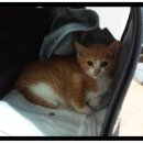 둔촌동물병원 이미지