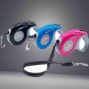 쿠치올로 이미지