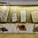 미호박물관 이미지