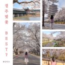 11650-7-67-11 | 2026 경주 벚꽃 시기 드라이브 명소 7곳 총정리