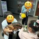 마술사 최형배의 오리지널 과한마술콘서트 공룡편 | 마술사 최형배의 오리지널 과학마술콘서트 &lt;공룡편&gt;