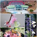 나비생태공원 이미지