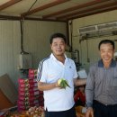 성정농장 이미지