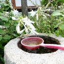 송담가든 이미지