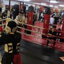 안양복싱 체육관 이미지