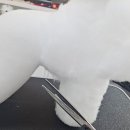 휴 애견미용 이미지