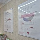 시그니아 독일보청기(은평점) 이미지