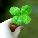 이태원 불꽃 이미지