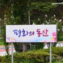 오수민속장터 이미지