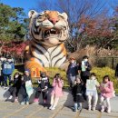 경희대 선 태권도장 이미지