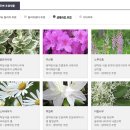 지에스25 곤지암리조트점 자판기 | 경기도 광주 | 곤지암리조트 부대시설 즐기기, 루지와 생태하천길