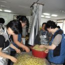 해밀사회봉사단 이미지