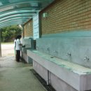 자연(애)장수 이미지