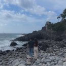 당근약국 | [제주 여행] 서귀포 중문 여행 코스, 장모님김밥-주상절리-바다다-스타벅스-돌고래출몰지-돈블랙...