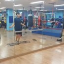 고릴라 복싱 이미지