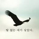 변증의 새 이미지