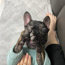 링코노래타운시흥대야점 | [2024.12.20.(금)] 몽골팸 연말파뤠