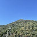 동림하녹東林夏綠 | 안동 영주 1박 2일 여행 (1) : 안동 동림하녹, 커피홀베이커리, 월영교, 낙강물길공원, 헛제사밥, 카페...