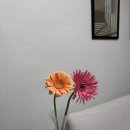 십이월헤어 | [채플 웨딩홀 후기] 아펠가모 공덕 / 아펠가모 광화문 견적 공유 (계약 X / 26년 상반기 토요일)