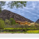 광법사 Daum카페