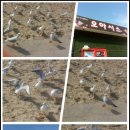 하얀모텔 이미지