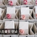 카페 정스 | 연남동카페 정스초콜릿 연남 연남동 초콜릿 맛집