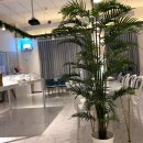 동이살롱 이미지