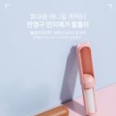 애니멀 동물병원 티스토리