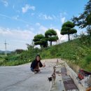 성재농장 이미지