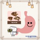 부천바로한방병원 | 부천 상동 한방병원 소화제 분소산 복용 후기