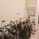 보타닉 스크린 골프 이미지