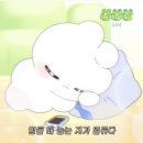 라이즈커넥션 이미지