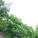 풍정식당 이미지