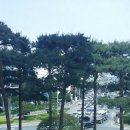 수영 메디세움 이미지