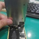 양지로5C 이미지