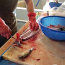 두밀촌 낚시터 이미지