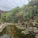 장수숯불닭갈비 이미지