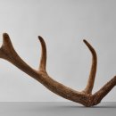 이종환한의원 이미지