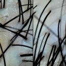 수원-0264 | [수원/호매실]숲칼프 수원호매실점 - 수원 두피관