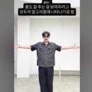 로지멜로디